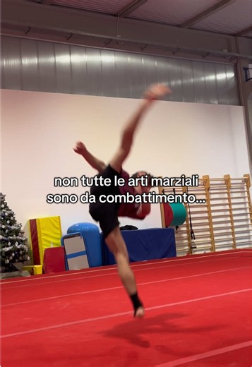 Arti Marziali: Non Solo Combattimento