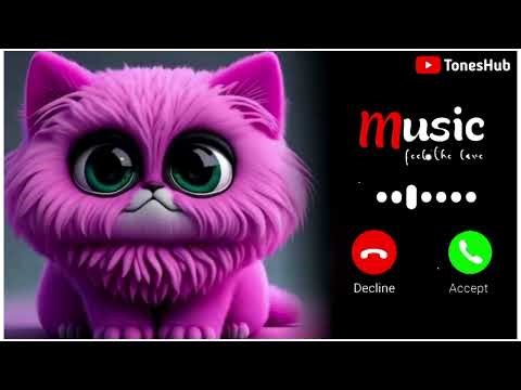 Cat Voice Ringtone | Meow Notification Tone | Message SMS Ringtone | Best Mobile Tone #ringtone