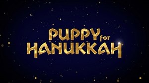 Disney Music on Instagram: "Who wants a "Puppy for Hanukkah"?! 🐶🕎 Watch the new lyric videos for @daveeddiggs' new song for @disneychannel! Link in Story."