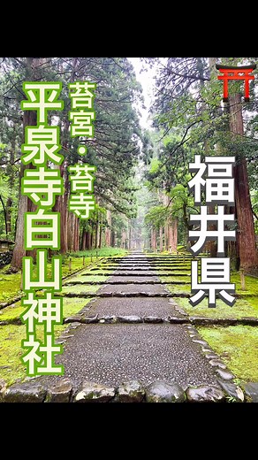苔の美しさが際立つ平泉寺白山神社