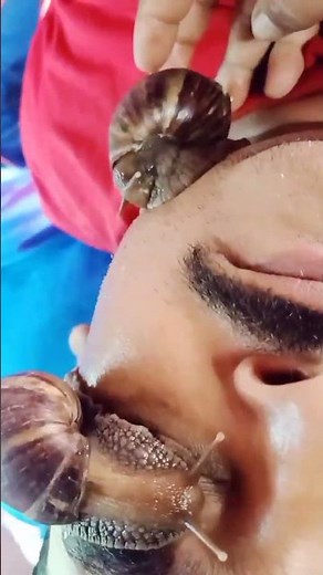 snail mucin benefits | snail care video | snail therapy | #snailtherapy #snailspa