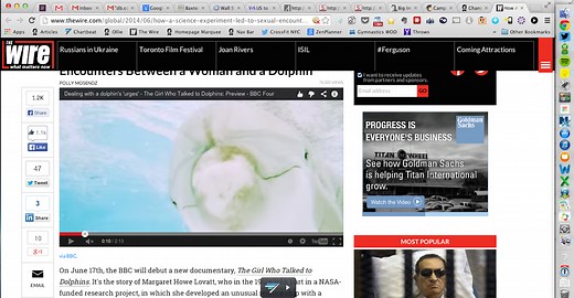 How A Science Experiment Led to Sexual Encounters Between a Woman and a Dolphin