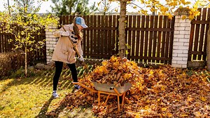 8 Pros and Cons of Fall Clean Up (And Why You Might Skip It)