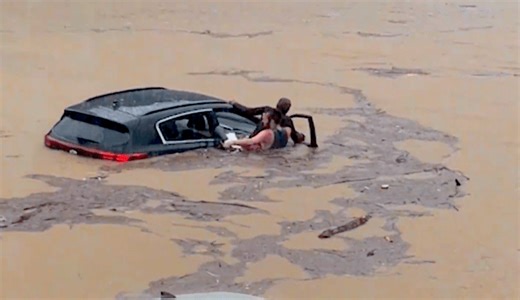 Top 3 animal rescue videos of 2024