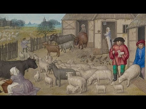 How Peasants Revolutionized Society (Middle Ages Documentary)