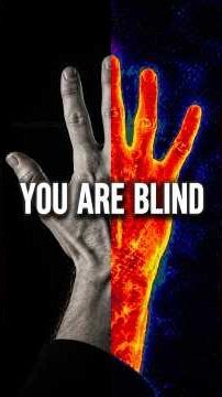 You Are Functionally Blind 👁️