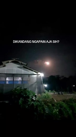 #ayambroiler #pengusahamuda #peternakmuda #fyp