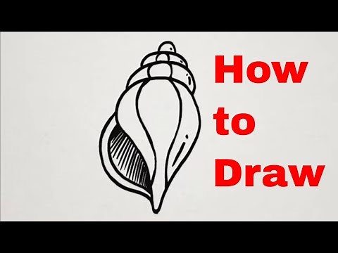 How to Draw SeaShells - Easy Step by Step Drawing Tutorial