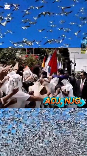 💖💖"LLDM"💖💖 | Nedloc Lorenzana