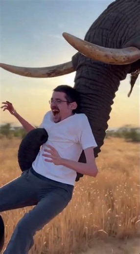 An Elephant Chases and Catches Me 😱🐘 Unreal Giant Animal Moment