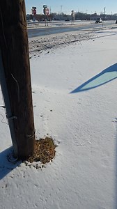Hey y’all 💛 We are literally sitting in front of your favorite sandwich shop right now and our parking lot is a complete disaster. The ice is super compacted, insanely slippery, and even big trucks are struggling to get around. Yes, it’s melting… but not enough for us to feel good about people getting in and out safely. The main roads are mostly clear, but the side roads and last stretch is still sketchy. So we’re taking one last day to put safety first — for our customers and our crew. We prom