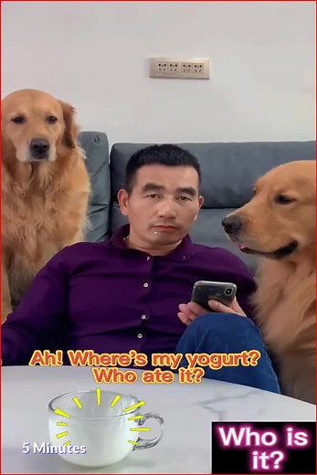 430K views · 10K reactions | Smart Dog 殺 | K A R E | Facebook