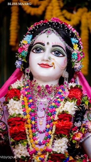 If there is night then day will definitely come #premanandjimaharaj #blissmaarg #radhakrishna #ti...