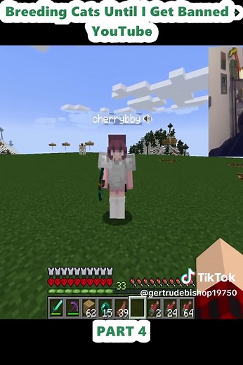 Breeding Cats & Finding Bunnies in Minecraft