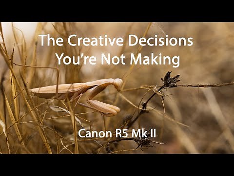 In Camera Focus Stacking with Canon R5 II: When a Camera Gets Creative Where Does that Leave Us?
