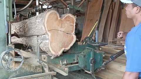 Powerful Sawmill Cutting Through Massive Teak Logs