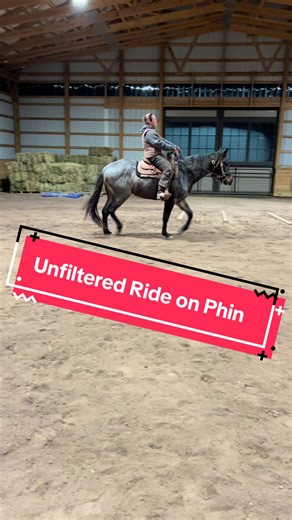 POV: You’re my poor husband who has to record all my riding videos, and listen to my random thoughts the whole time 😜 No matter what you do, always remember to make it fun! #Phineas #graymarefarm #quarterhorses #fyp