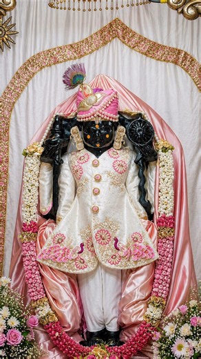After Losing Everything 🙏 | Trust God’s Plan | Dwarkadhish Darshan | Day 98/365