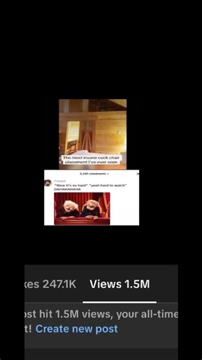 You guys are insane lol #meme #voiceover #funny #muppet #fyp | Voice Over