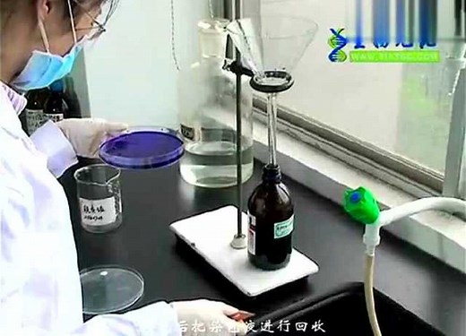 蛋白质聚丙烯酰胺凝胶电泳（SDS-PAGE）