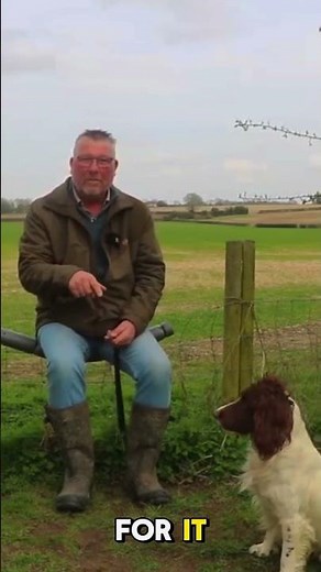 Gundog Whistle Commands