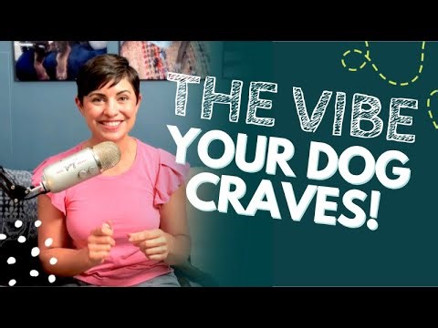 What Your Dog Sees: The Science of Visual Enrichment | Ep. 4