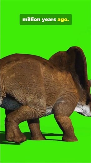 Meet Triceratops 🦕 Dinosaur Facts for Kids