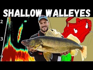 Jigging SHALLOW Spring Walleyes (2-6 Feet) - Locations & Presentations for Post-Spawn Walleyes