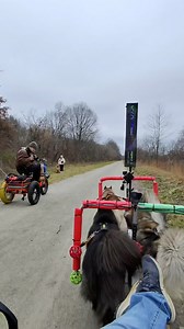 1.5M views · 10K reactions | I’m often asked about running into off-leash dogs, hence why I have a copilot riding point to keep the✌️#WooFDriverTips | WooFDriver | Facebook