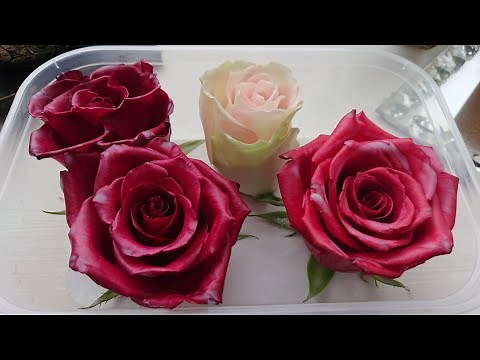 Preserving roses in wax