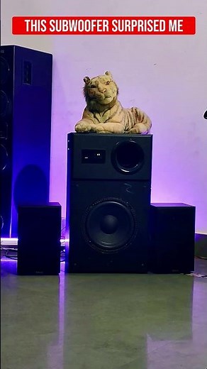 Full Volume Subwoofer Test 🔊 | Clear Bass or Distortion?