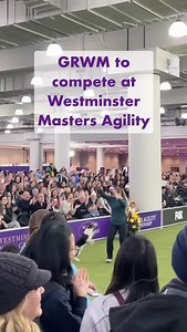 On competition day, Masters Agility competitors lock in with exceptional nutrition, agility warmups, and their favorite toys too. At the center of it all, a bond unlike any other. | Purina Pro Plan
