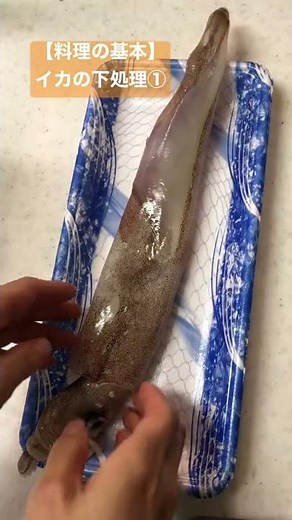 【料理の基本】イカの下処理① #さばき方 #イカのえんぺら #タイ料理教室 #タイ料理