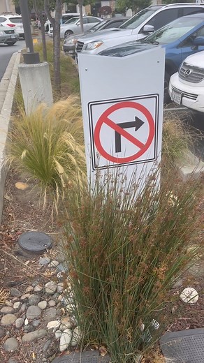 When you have to put up a random sign to prevent random stupidity! Warning this video might have you scratching your head. | Stanley Roberts