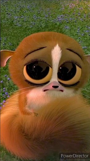 Mort Crying 🥺😭 - Madagascar