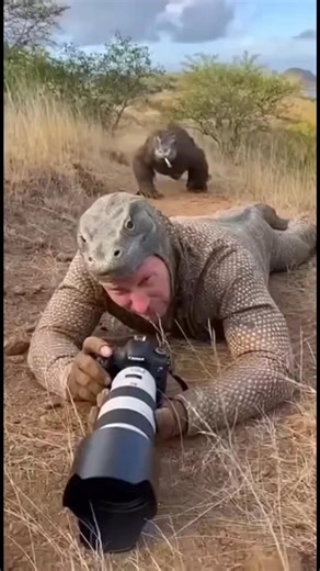 ‎احمد يحي‎ on Instagram‎: "لما تعمل فيها تنين كومودو عشان "لقمة العيش".. المصور ده دخل في الدور أوي ولبس اللبس عشان ياخد لقطات قريبة، بس مكنش عامل حسابه إن التنين الحقيقي هييجي ويقوله: "منور يا زميلي!" 😂🦎 ​لقطة مرعبة ومضحكة في نفس الوقت، التنين الحقيقي افتكره "قريبه" وقرر يتعرف عليه بطريقته الخاصة. المصور حرفياً كان بيحبس أنفاسه! ​الفيديو من انتاج الAi علي تطبيق sora"‎