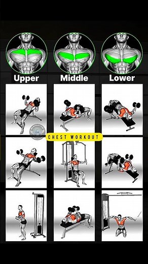 Complete Chest Workout: Upper, Middle & Lower Chest Exercises 🔥#chestworkout #fitness #gymlife
