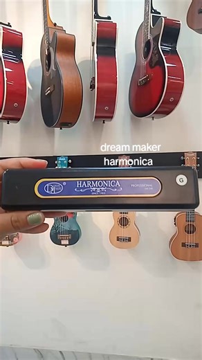 dreammaker harmonica dm for price ☺️☺️