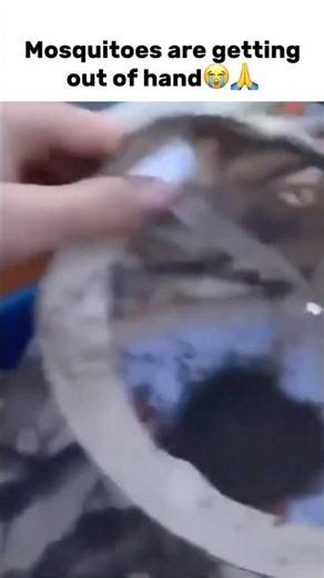 #marblemusic