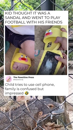 Child tries to use cell phone, family is confused but impressed 🤣