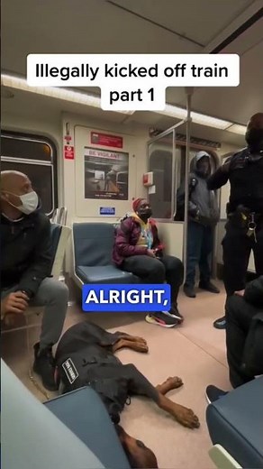 Service Dog Kicked Off Train by Karen Operator 😡