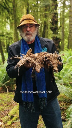 What has mycelium taught Paul Stamets about life? Part 1