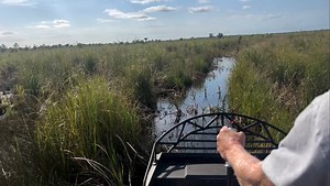 92K views · 747 reactions | Fun day of Alligator hunting in C. Florida with my boy and my buddy HoHo. Only got 2 today, a 9ft and 6. A bit too windy today. Don’t know why I was chewing gum disgustingly, or why HoHo ran me into a bush. | Larry The Cable Guy | Facebook