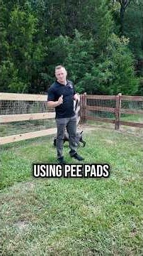 You’re Ruining Potty Training by Doing THIS!