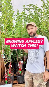55K views · 559 reactions | What apple varieties are you growing...