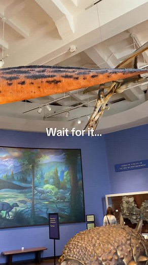 322K views · 34K reactions | One of the coolest dinosaur displays at the @sdnhm #whydinosaurs #dinosaur #naturalhistorymuseum #fossils #paleontology | WHY DINOSAURS? | Facebook