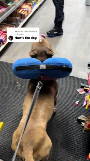 Replying to @matt20036 Big Cezar @ the Khyber Shop