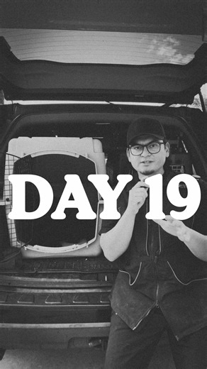 Essential Puppy Socialization Tips for Confident Dogs