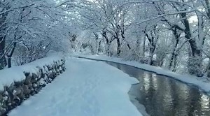 Parachinar news | Parachinar Press