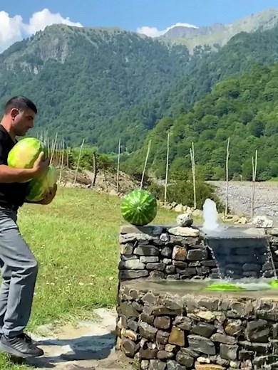 Xa Le Farm on TikTok